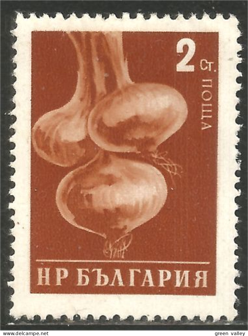 AL-81 Bulgarie Onions Oignon Agriculture - Ernährung