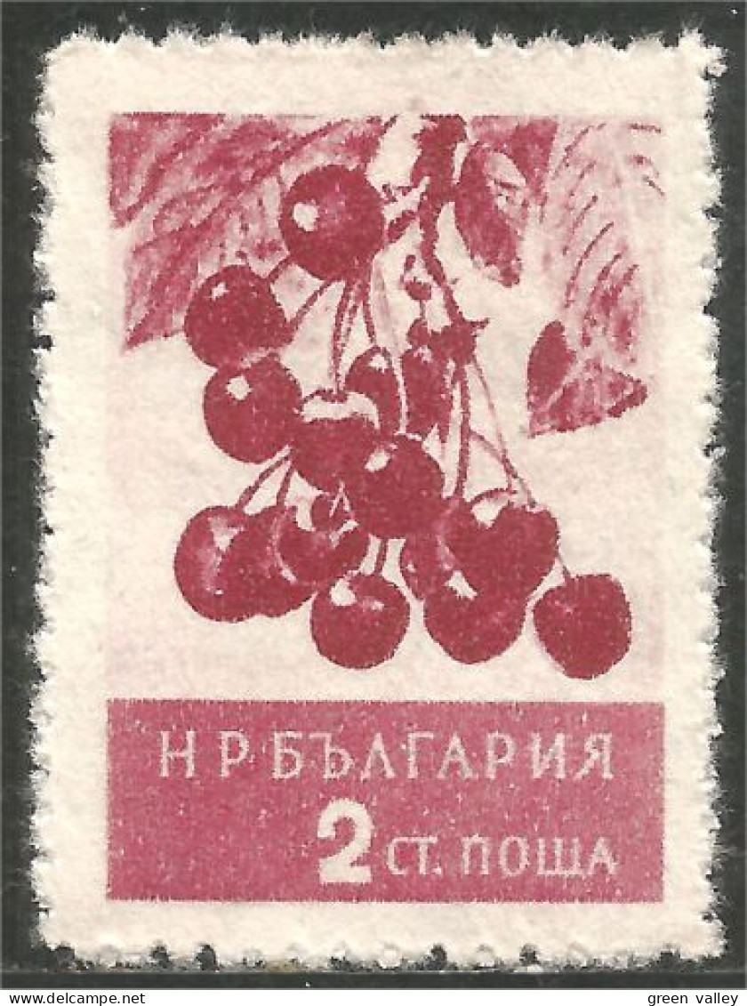 AL-83 Bulgarie Cerises Cherry Cherries Kersen Kirschen Ciliegie Cerezas Cerejas Agriculture - Alimentation