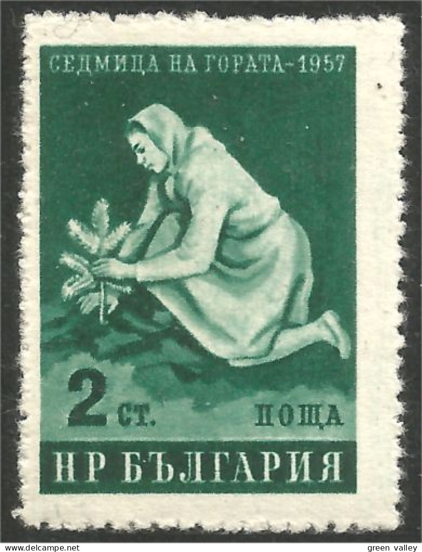 AL-78 Bulgarie Femme Woman Planting Tree Plantation Arbre Agriculture MVLH * Neuf - Food