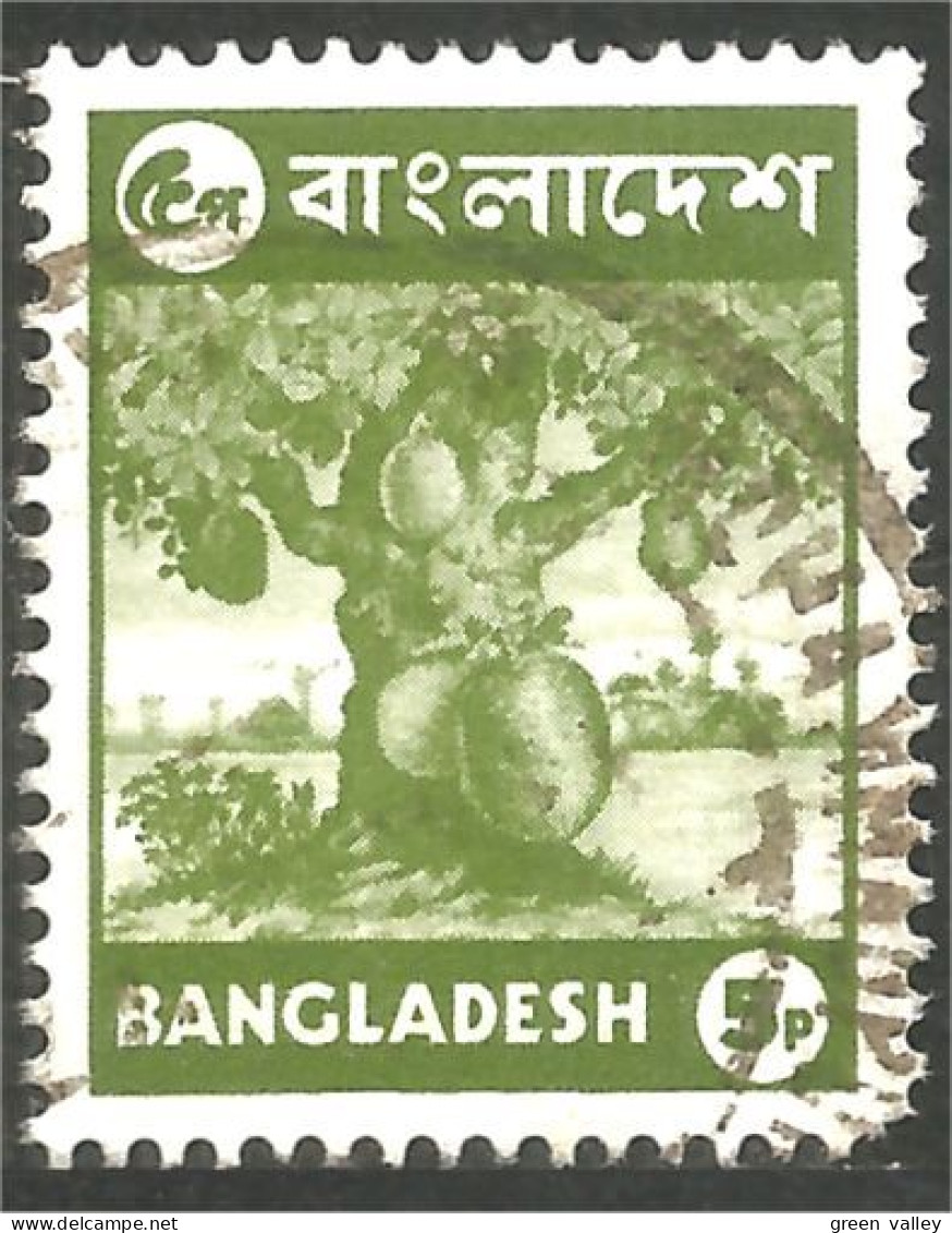 AL-71 Bangladesh Arbre Jacquier Jackfruit Tree Fruit Agriculture - Ernährung