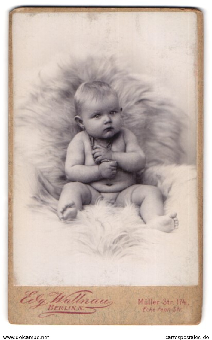 Fotografie Edg. Wallnau, Berlin, Müllerstr. 174, Portrait Baby Mit Perlenhalskette Auf Einem Fell Sitzend  - Anonyme Personen