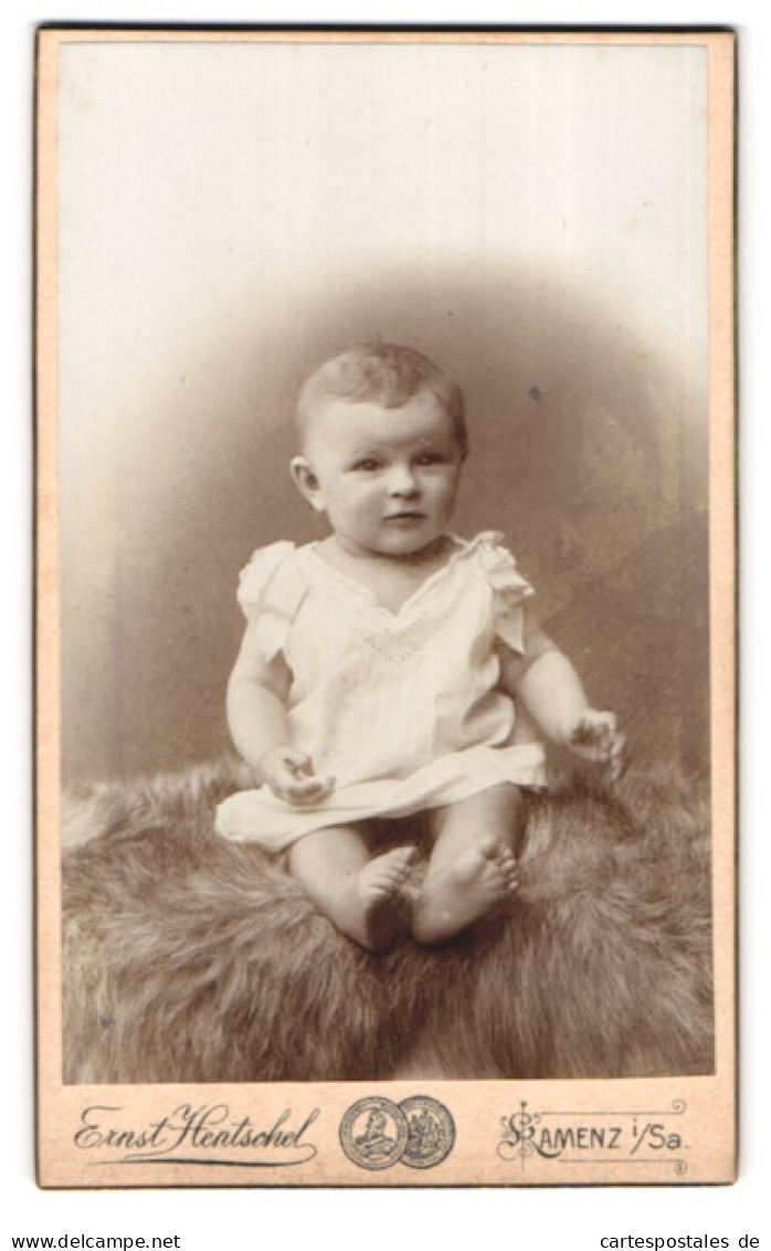 Fotografie Ernst Hentschel, Kamenz I. Sa., Hoyerswerdaerstr. 30, Portrait Süsses Baby Im Weissen Hemdchen Auf Fell Si  - Anonyme Personen