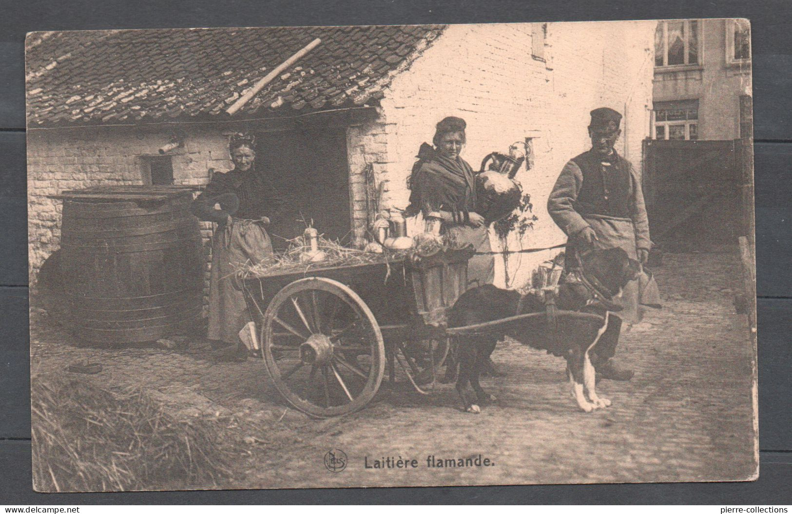 Belgique - Laitière Flamande - Attelage De Chien - Belle Carte - Other & Unclassified