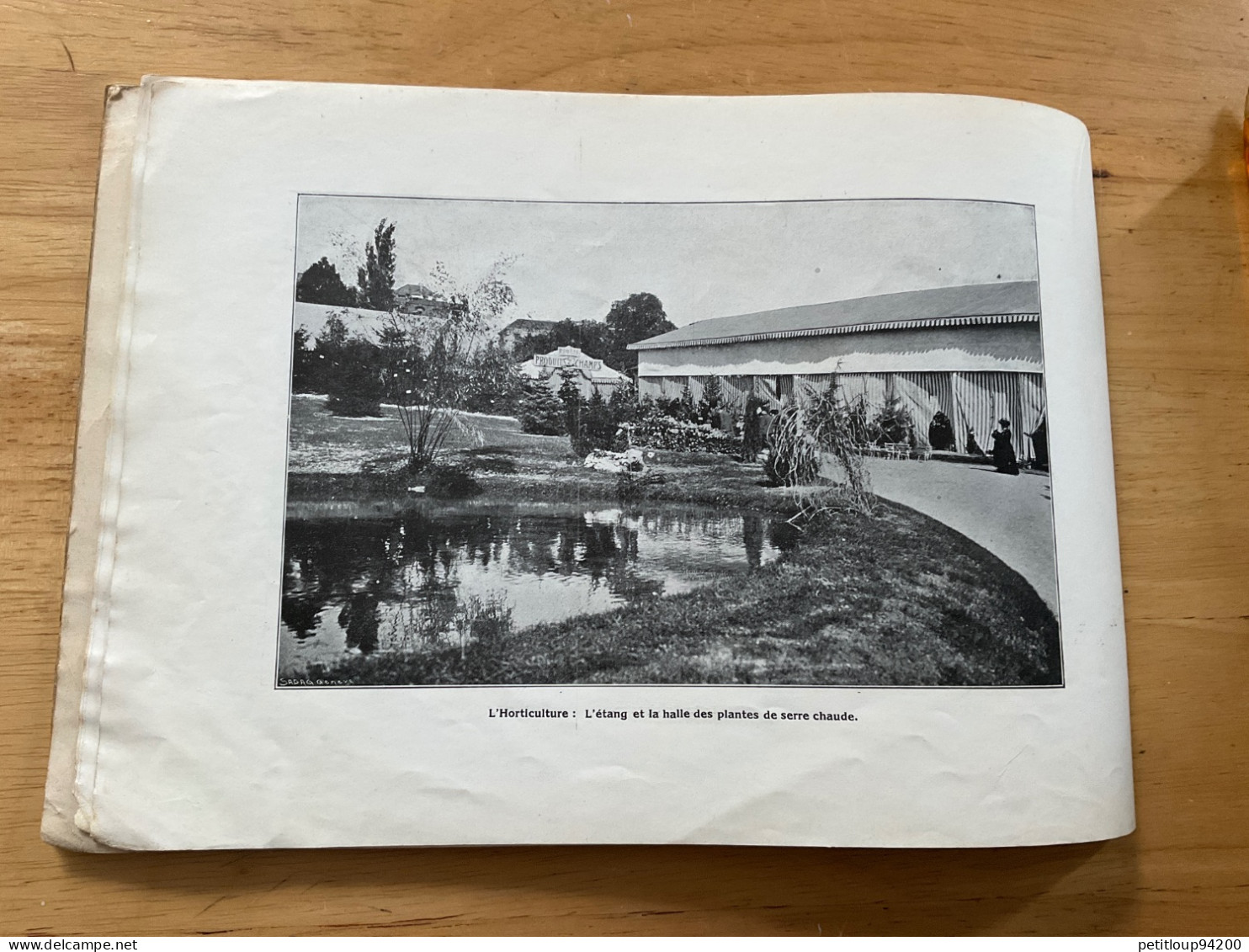 ALBUM SOUVENIR OFFICIEL VIIIeme EXPOSITION SUISSE d’AGRICULTURE Viticulture-Sylviculture-Horticulture LAUSANNE Sept.1910