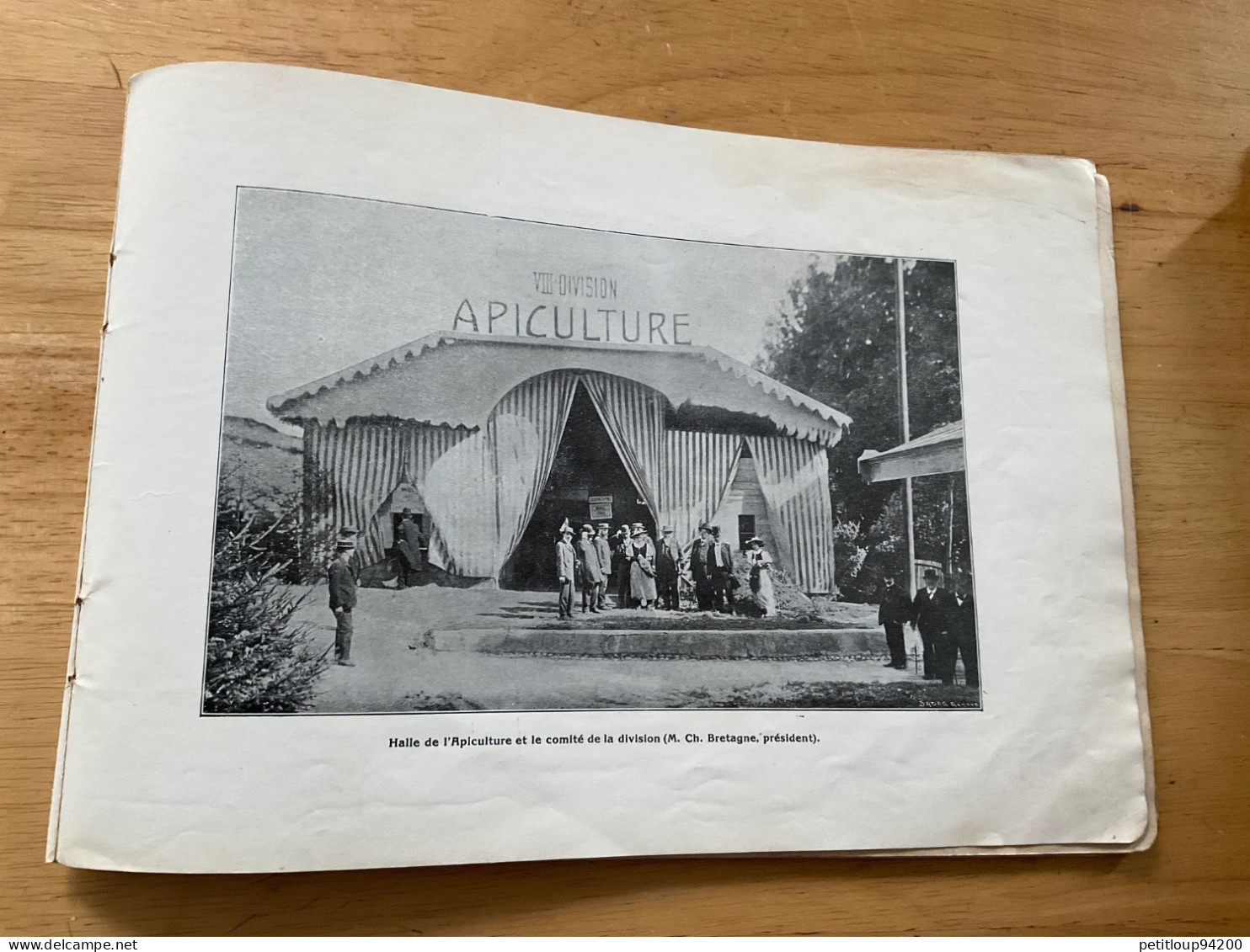 ALBUM SOUVENIR OFFICIEL VIIIeme EXPOSITION SUISSE d’AGRICULTURE Viticulture-Sylviculture-Horticulture LAUSANNE Sept.1910