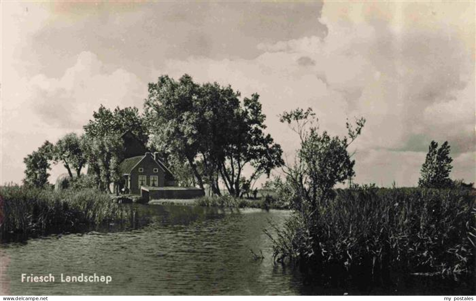 73977001 Goengahuizen_Akkrum_Friesland_NL Friesch Landschap - Other & Unclassified