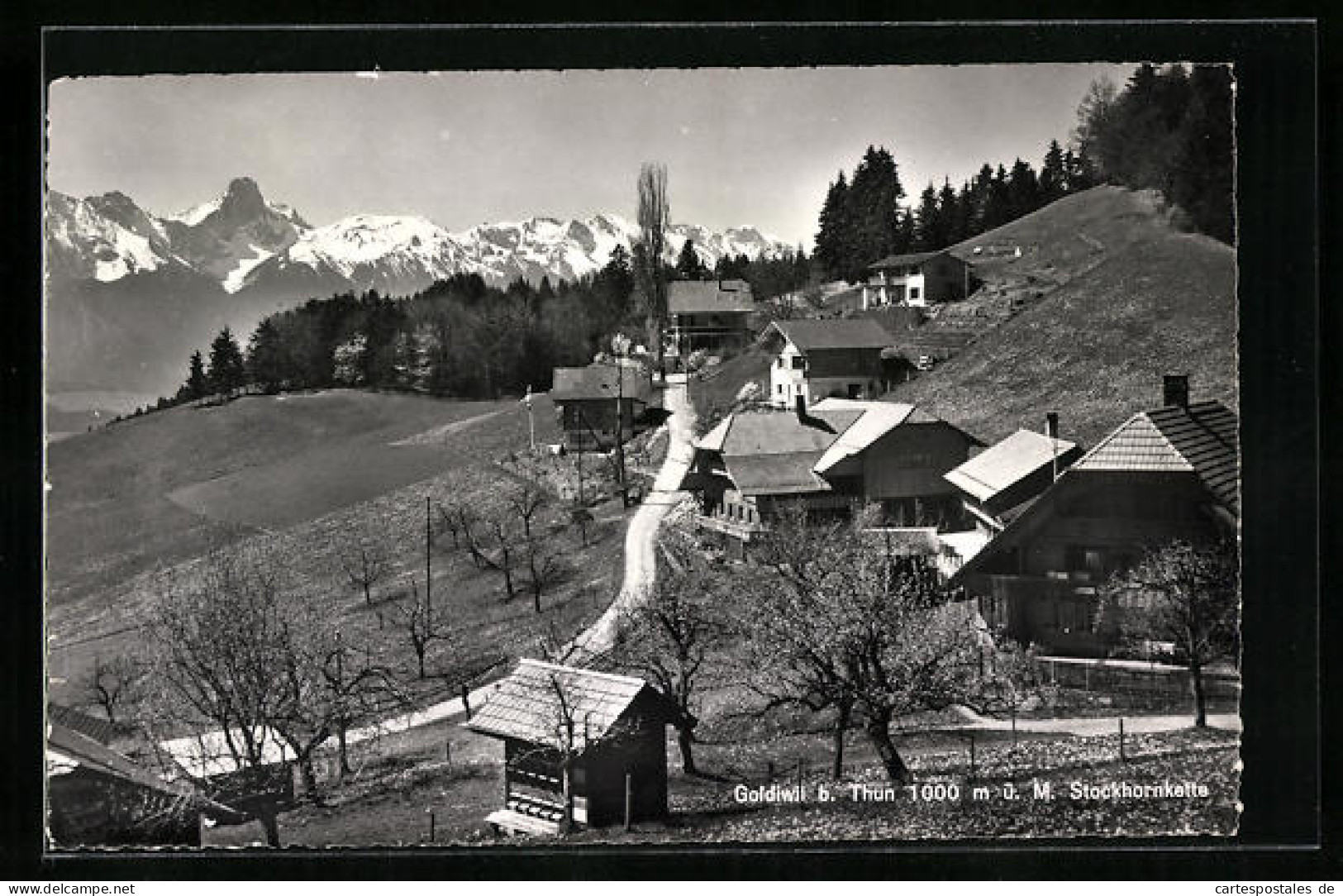 AK Goldiwil, Blick über Den Weg Durch Den Ort Auf Die Stockhornkette  - Autres & Non Classés