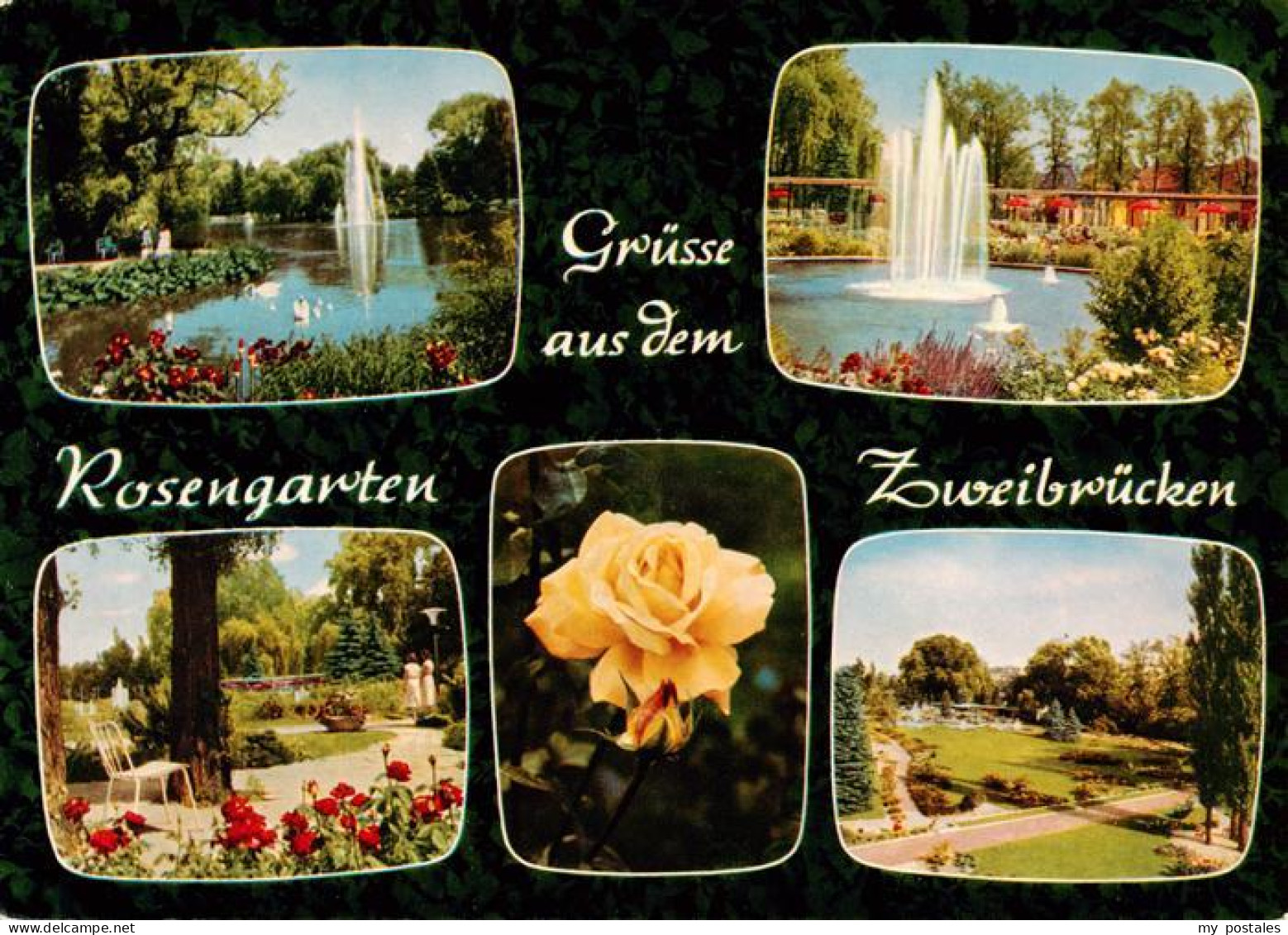 73906042 Zweibruecken Pfalz Rosengarten Teilansichten - Zweibruecken
