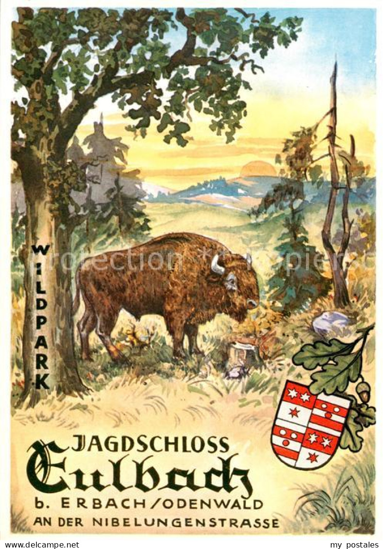 73867046 Erbach Odenwald Jagdschloss Eulbach Wildpark Kuenstlerkarte Erbach Oden - Erbach