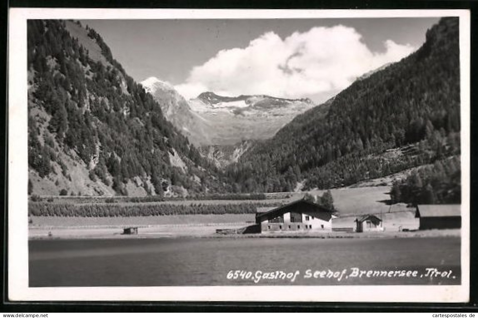 AK Brenner, Gasthof Seehof Am Brennersee  - Other & Unclassified