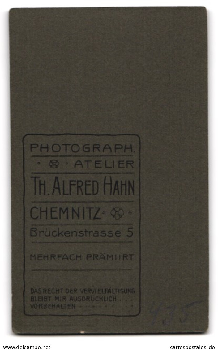 Fotografie Th. Alfred Hahn, Chemnitz, Brückenstr. 5, Bürgerliche Dame In Hübscher Bluse  - Personnes Anonymes