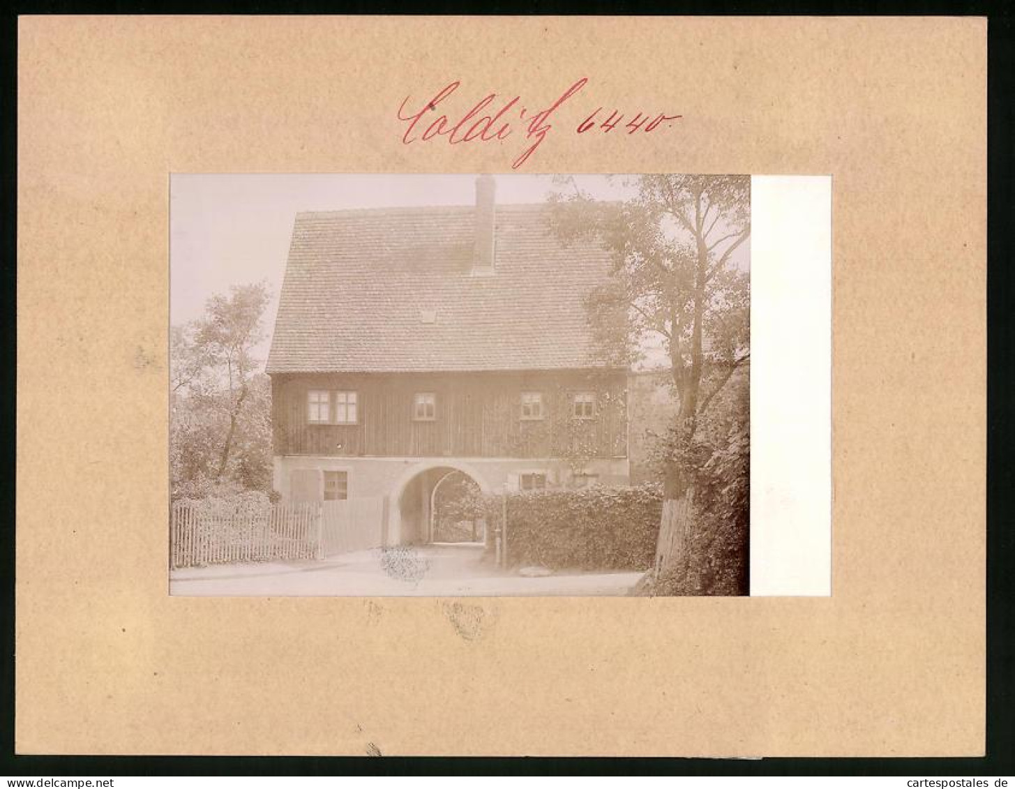 Fotografie Brück & Sohn Meissen, Ansicht Colditz, Blick Auf Den Eingang Mit Torbogen Zum Tiergarten  - Places