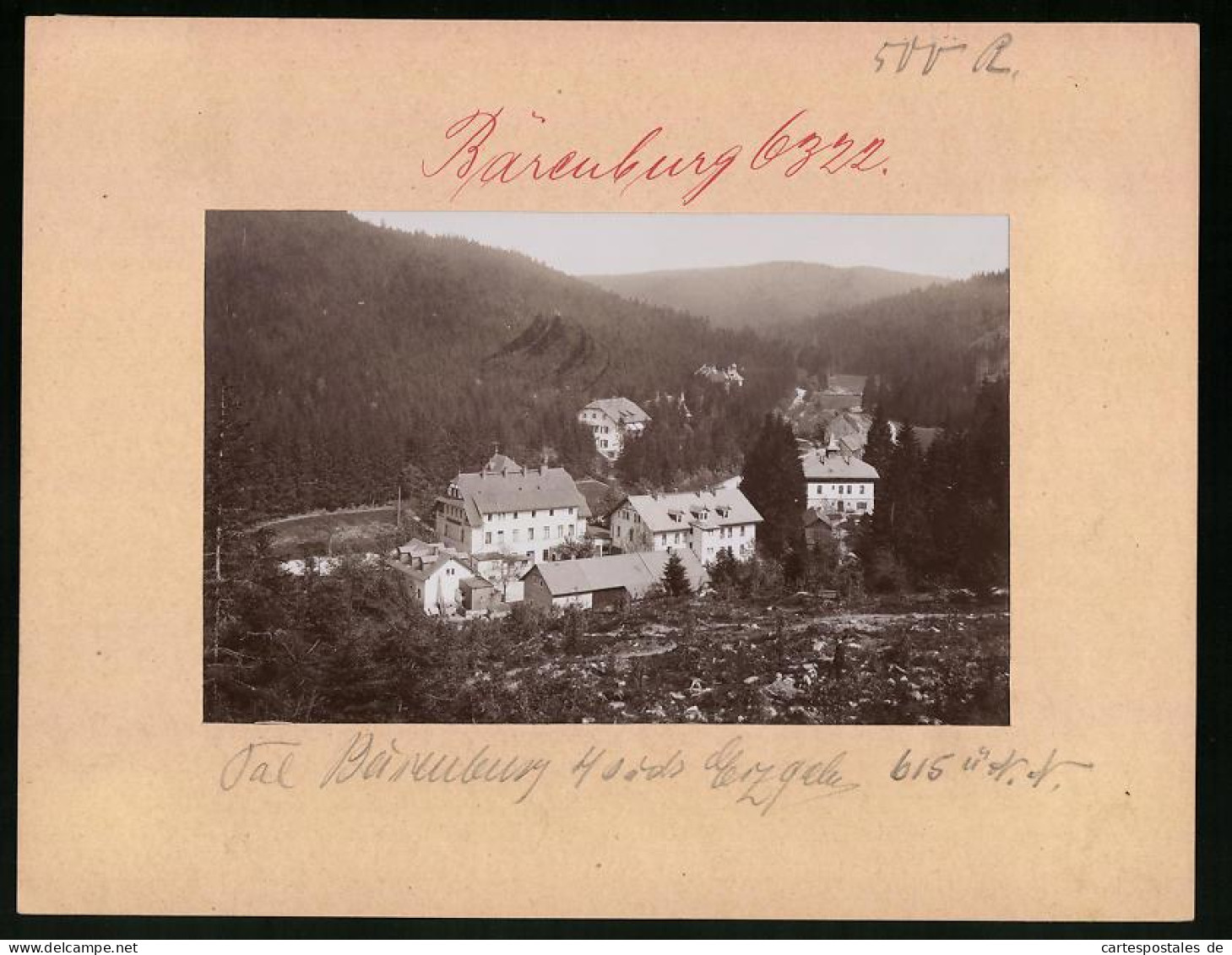 Fotografie Brück & Sohn Meissen, Ansicht Bärenburg I. Erzg., Blick Auf Das Hotel Und Die Pension  - Places