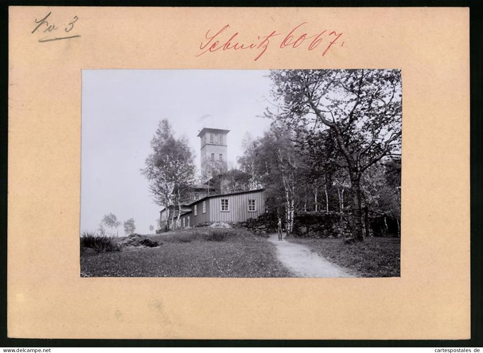 Fotografie Brück & Sohn Meissen, Ansicht Sebnitz, Blick Auf Die Grenadierburg  - Places