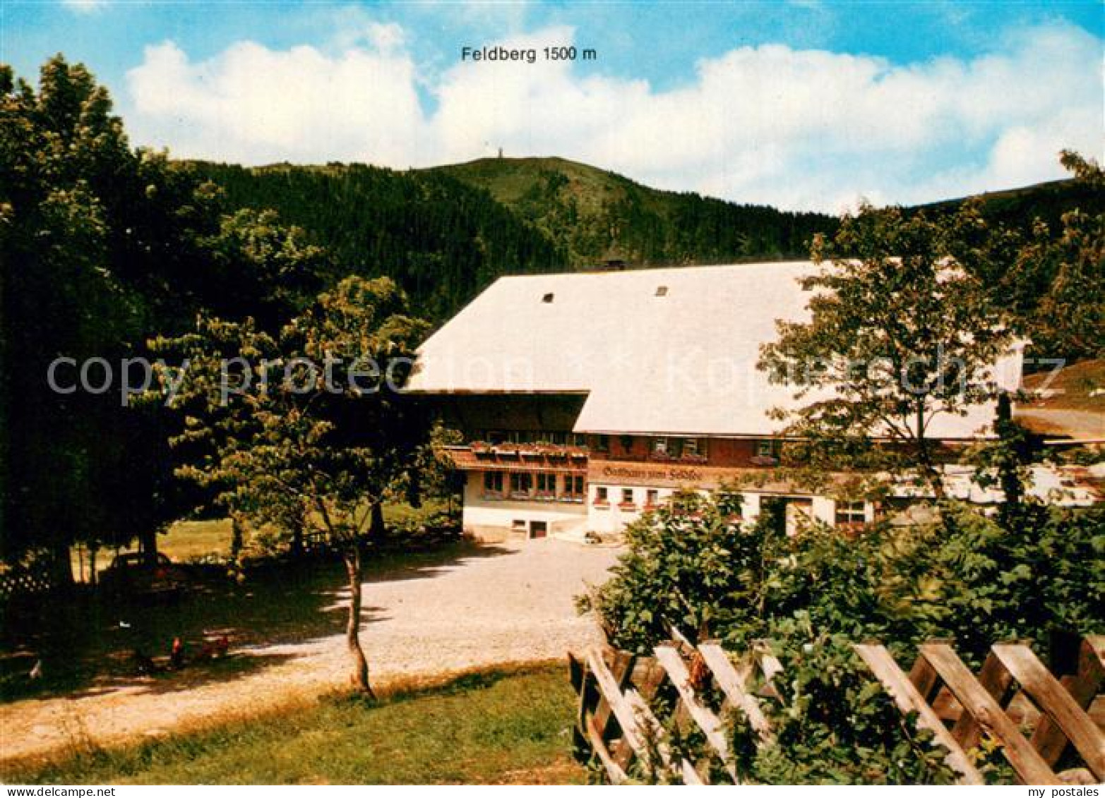 73758703 Feldberg 1450m Schwarzwald Raimartihof Gasthaus Zum Feldsee Aussenansic - Feldberg