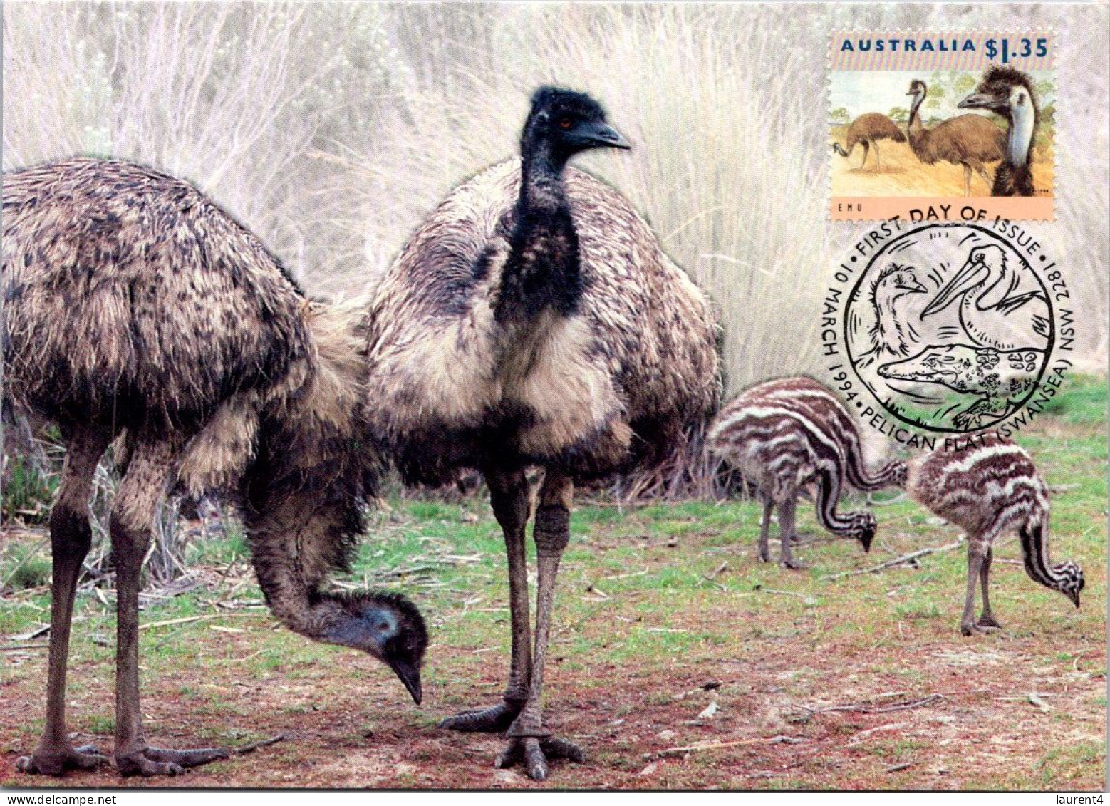 20-5-2024 (5 Z 39) Australia (3 Maxicard) Native Wildlife (if Not Sold Will NOT Be Re-listed) - Cartes-Maximum (CM)