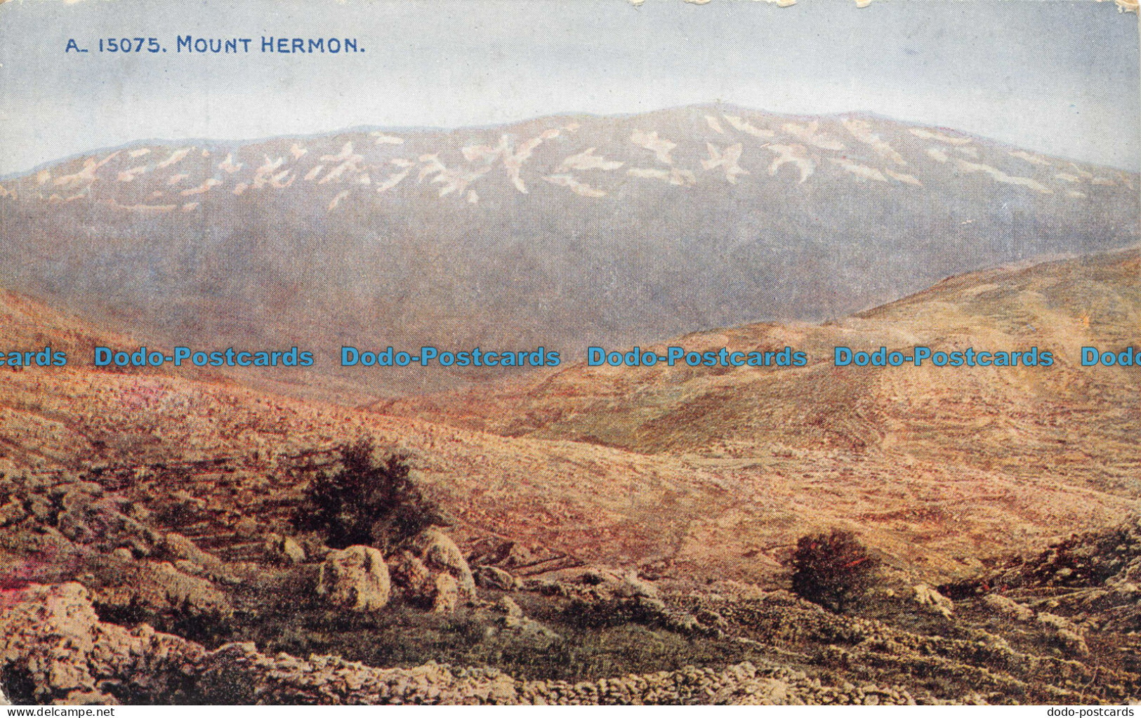 R057803 Mount Hermon. No A.15075 - Monde
