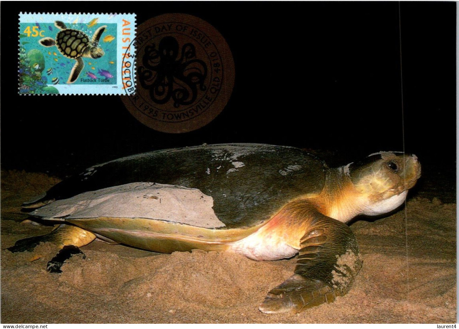 20-5-2024 (5 Z 39) Australia (6 Maxicard) Fish - Shark - Turtle Etc (if Not Sold Will NOT Be Re-listed) - Cartes-Maximum (CM)