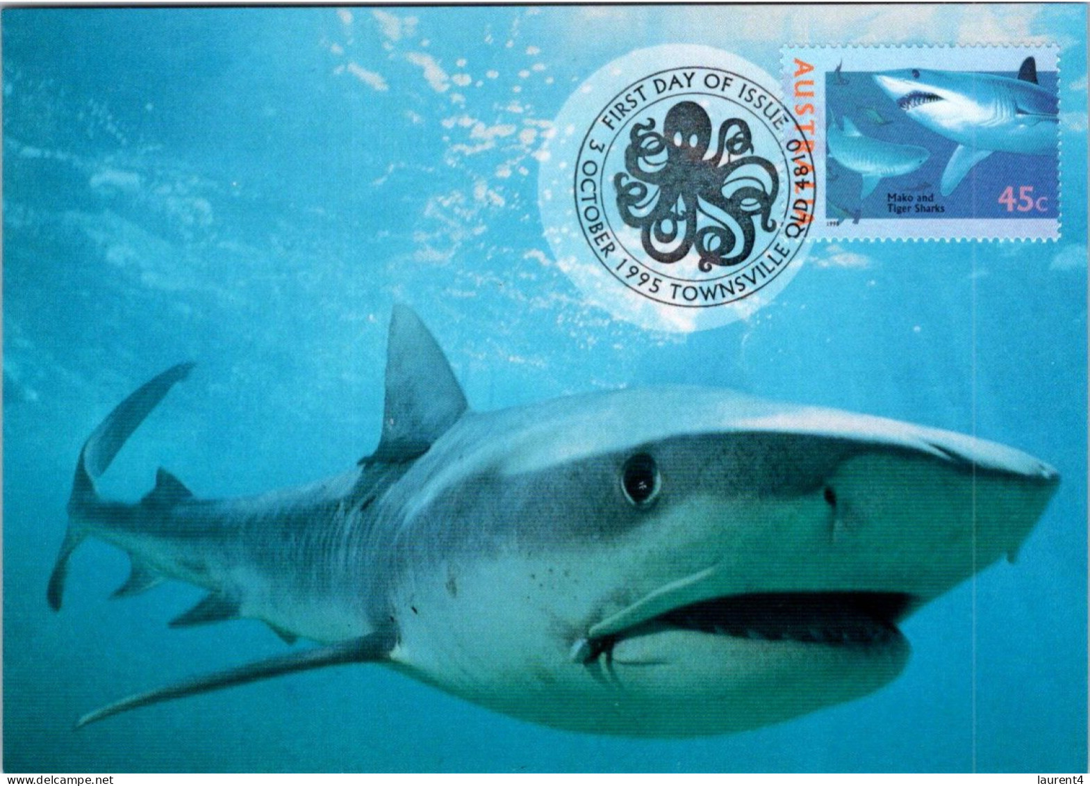 20-5-2024 (5 Z 39) Australia (6 Maxicard) Fish - Shark - Turtle Etc (if Not Sold Will NOT Be Re-listed) - Cartes-Maximum (CM)