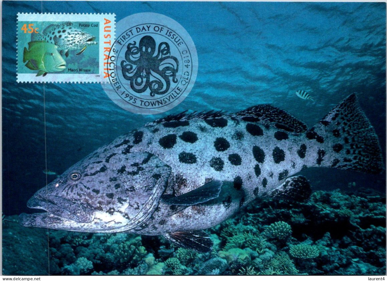 20-5-2024 (5 Z 39) Australia (6 Maxicard) Fish - Shark - Turtle Etc (if Not Sold Will NOT Be Re-listed) - Cartes-Maximum (CM)