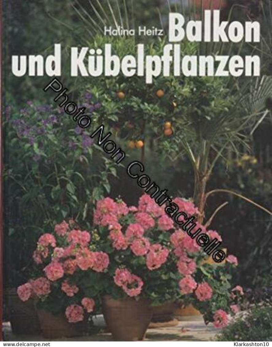 Balkon Und Kübelpflanzen - Other & Unclassified