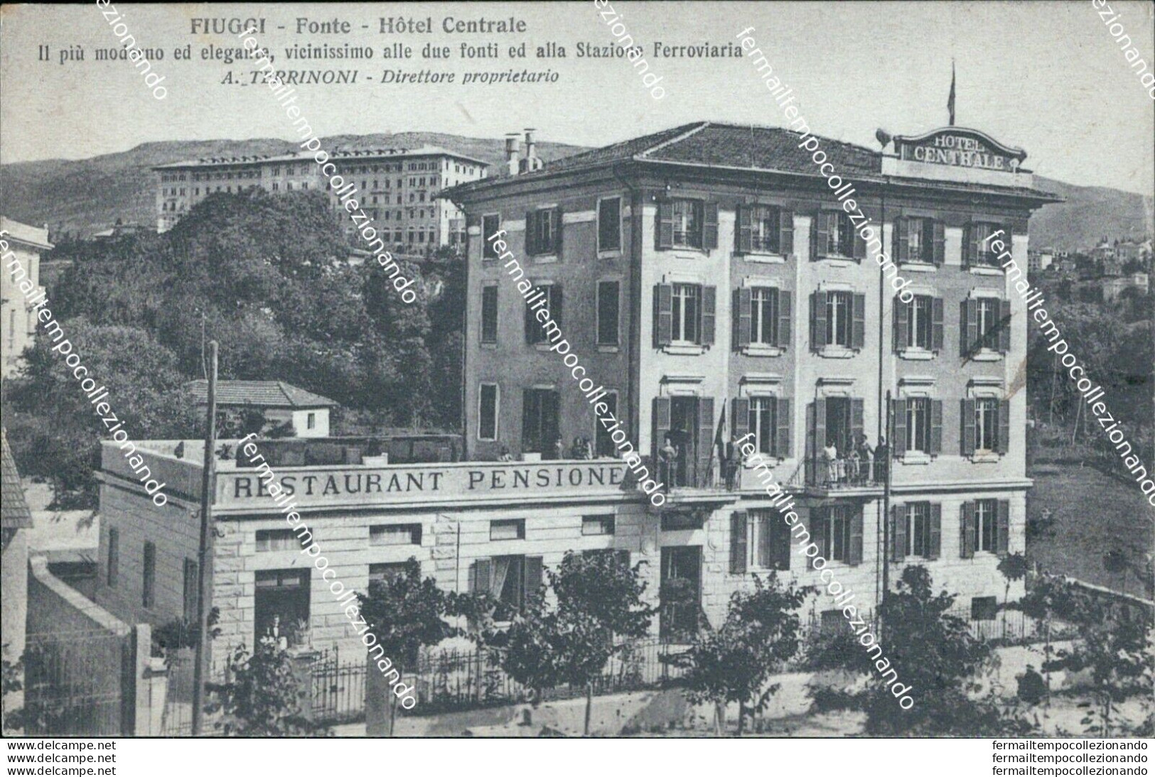 Bg467 Cartolina Fiuggi Fonte Hotel Centrale Provincia Di Frosinone - Frosinone