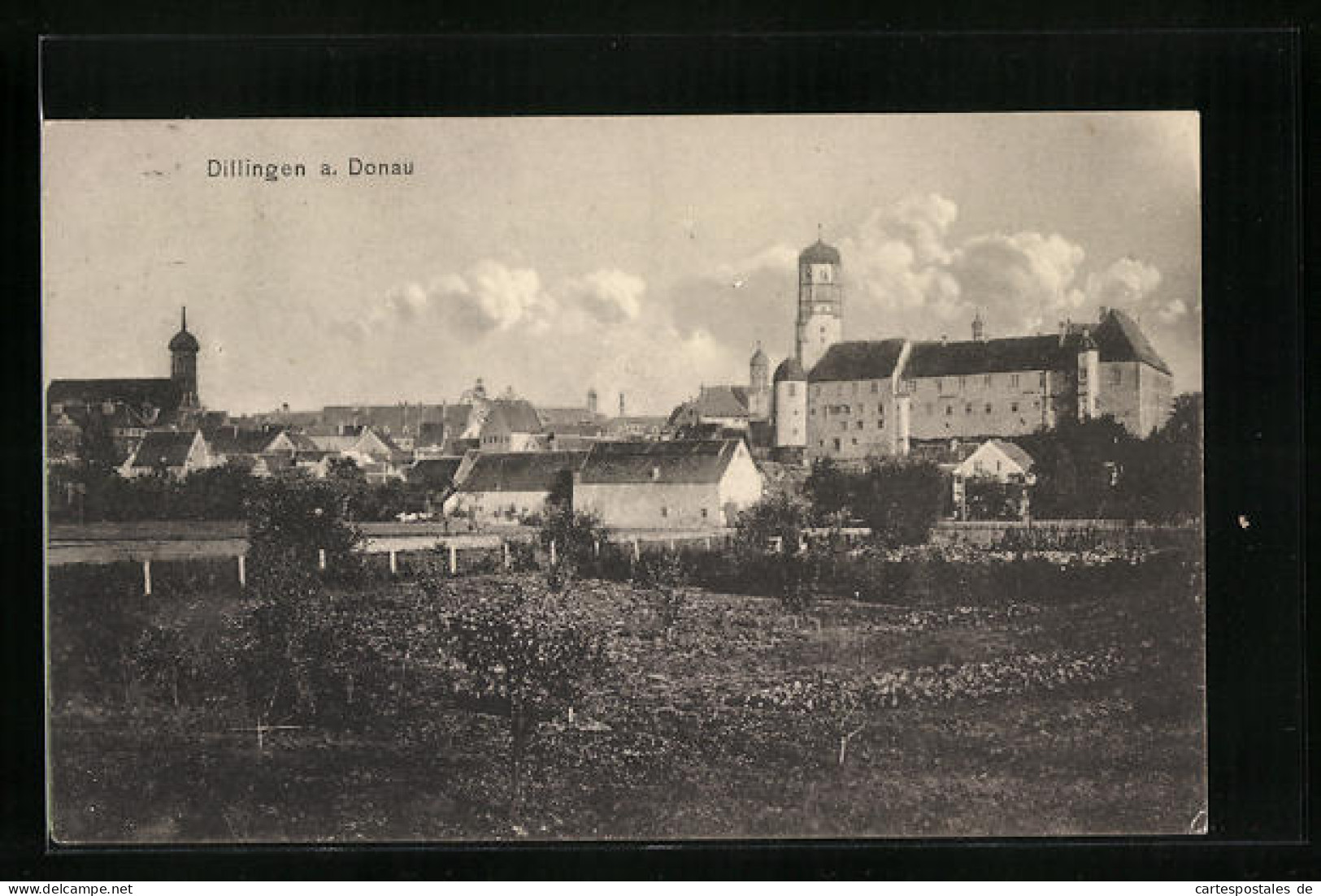 AK Dillingen A. D., Ortsansicht Mit Dem Schloss  - Dillingen