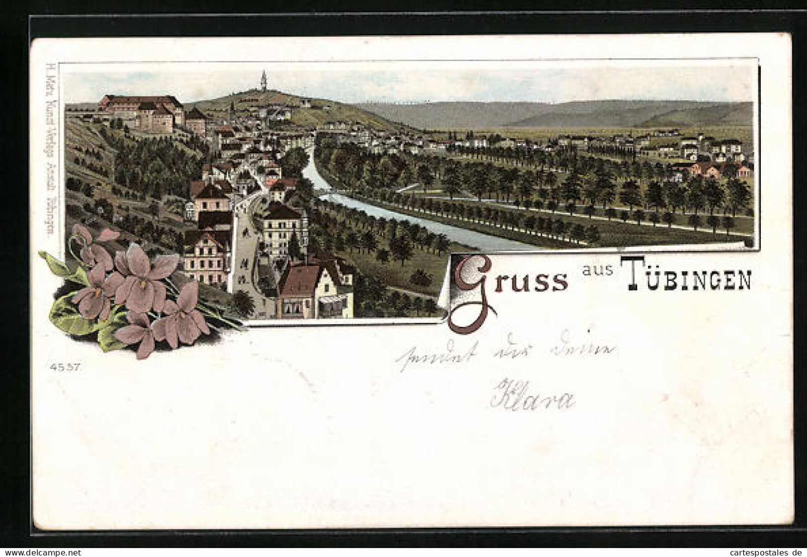 Lithographie Tübingen, Totalansicht Mit Flusspartie  - Tuebingen