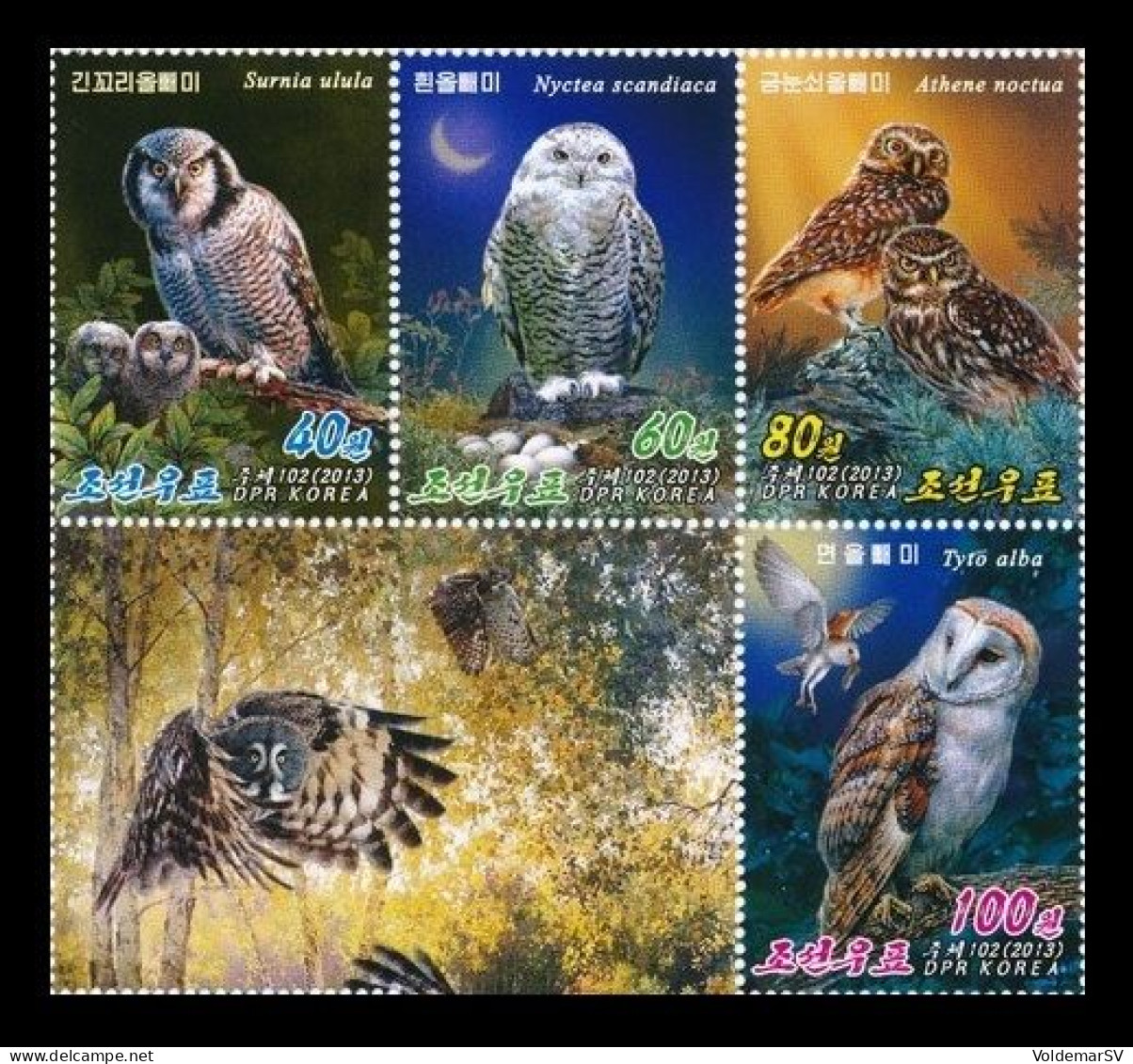 North Korea 2013 Mih. 5992/95 Fauna. Birds. Owls MNH ** - Korea, North