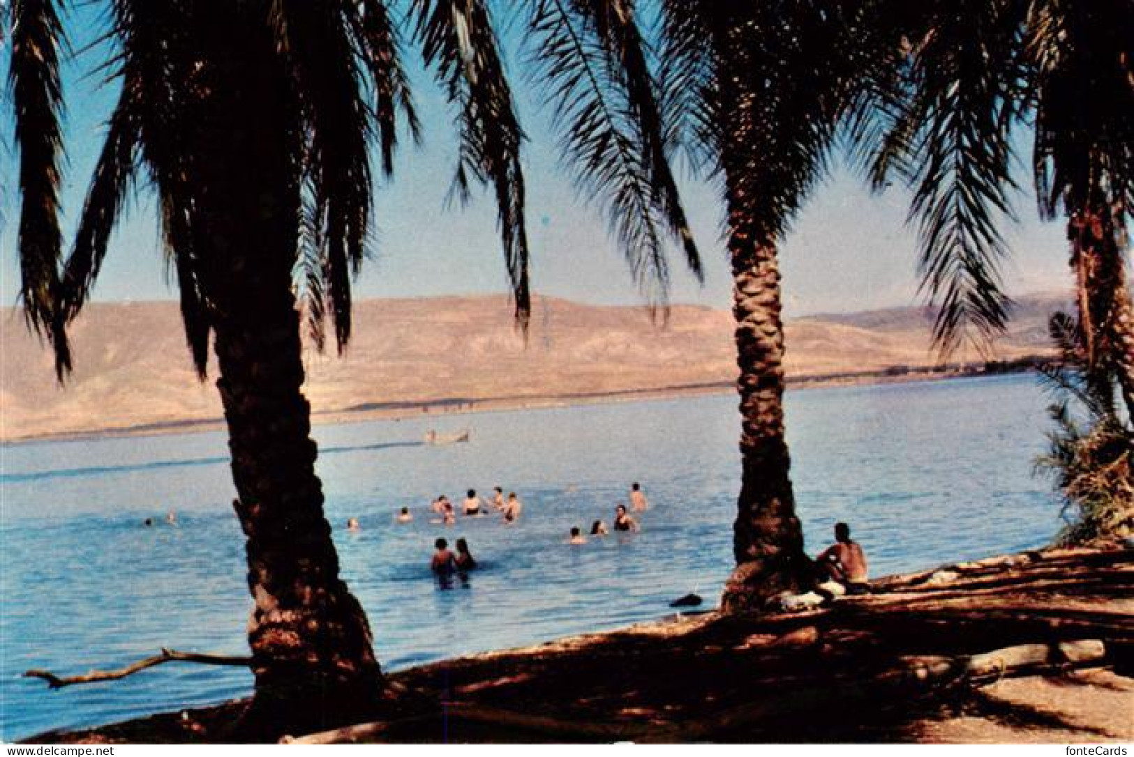 73918532 Galilaea Galilee Haifa Israel Bathing In The Lake Of Galilee - Israel