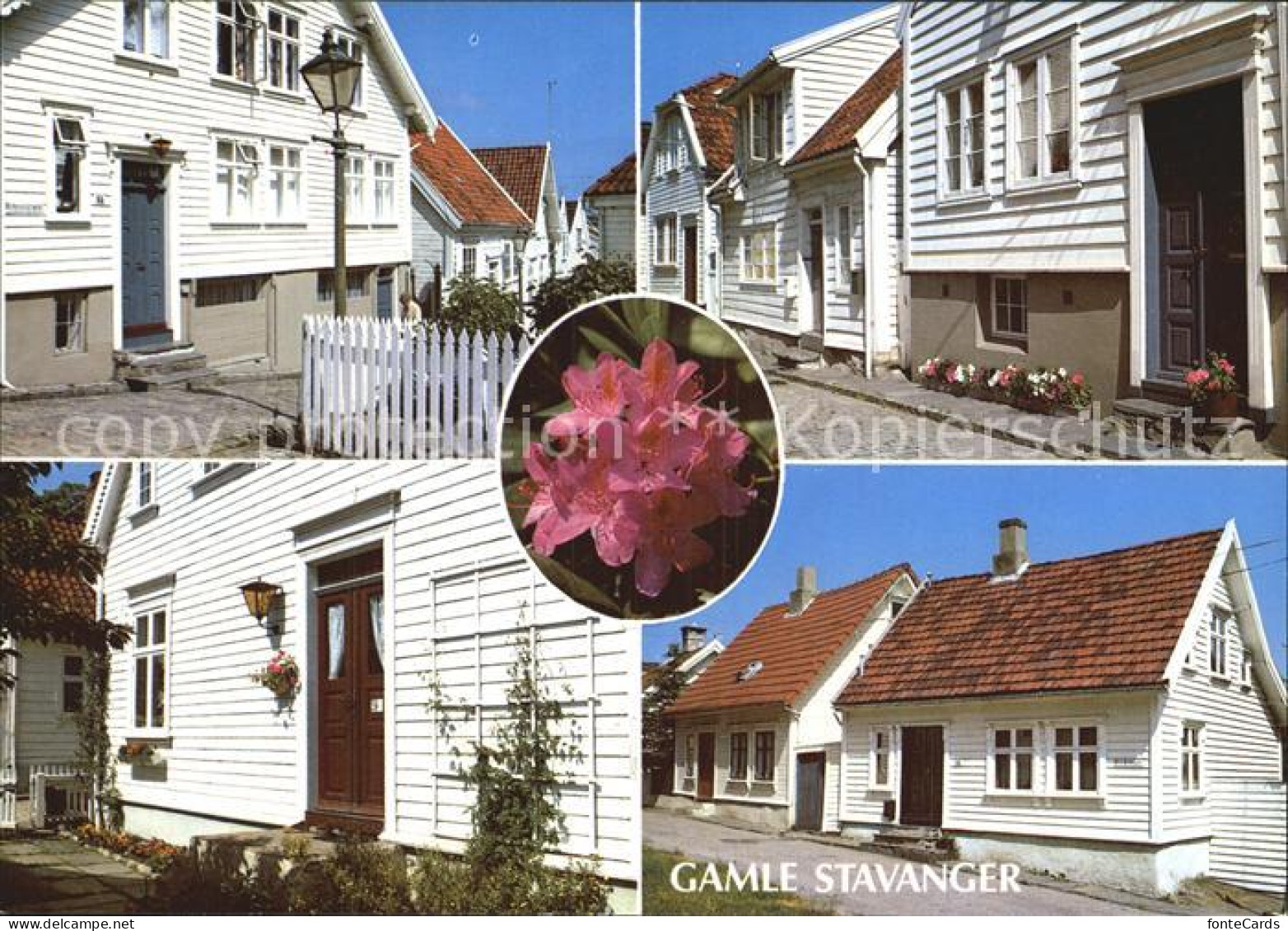 72576582 Stavanger Partier Fra Gamle Stavanger Altstadt Blume Stavanger - Noorwegen