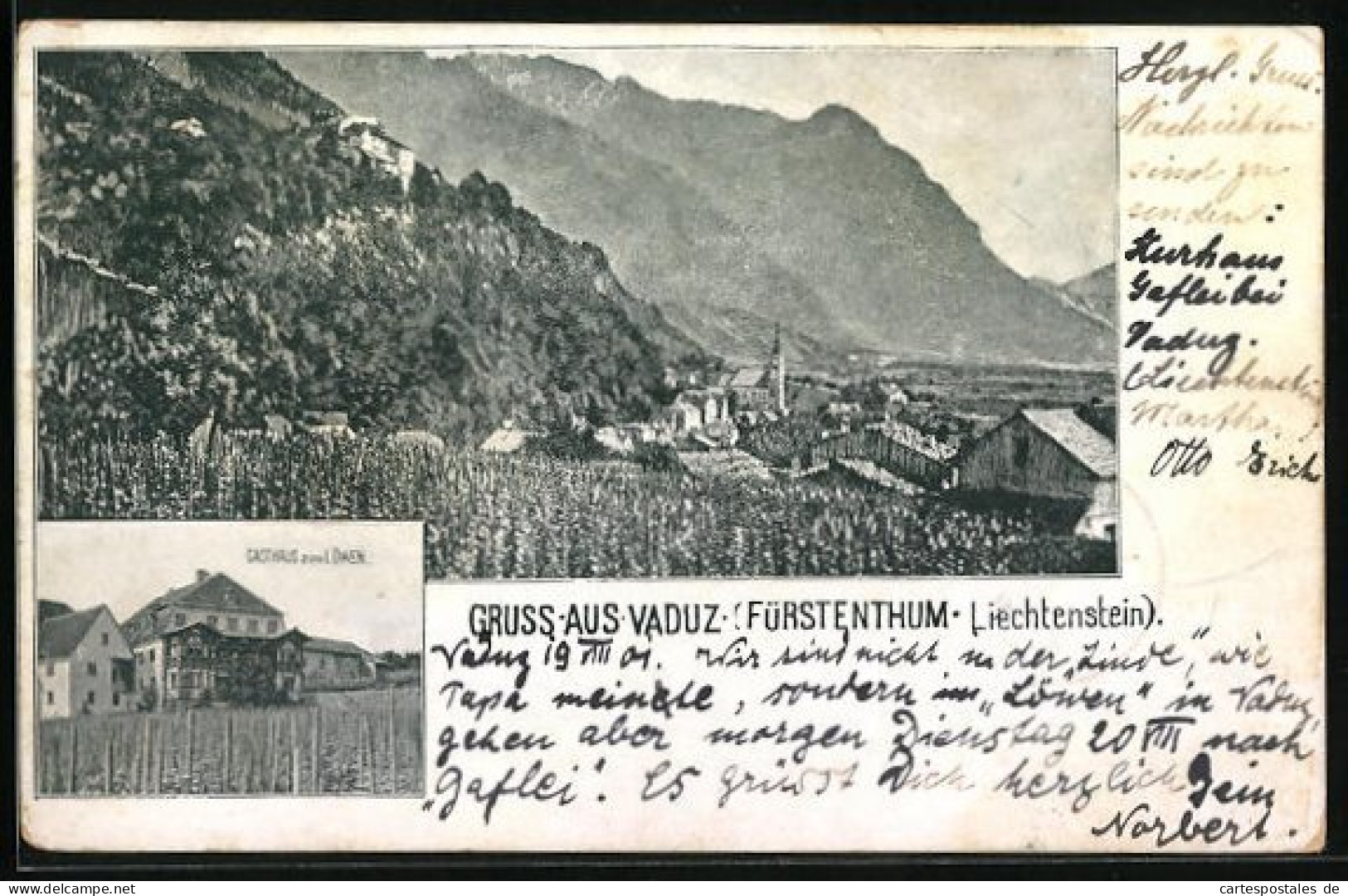 AK Vaduz, Gasthaus Zum Löwen, Weinberg Mit Landschaftspanorama  - Liechtenstein