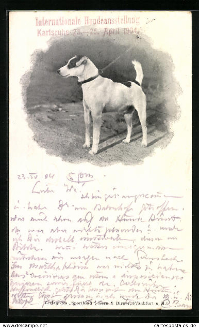 AK Karlsruhe, Internationale Hunde-Ausstellung 1904, Jack Russell Terrier  - Expositions