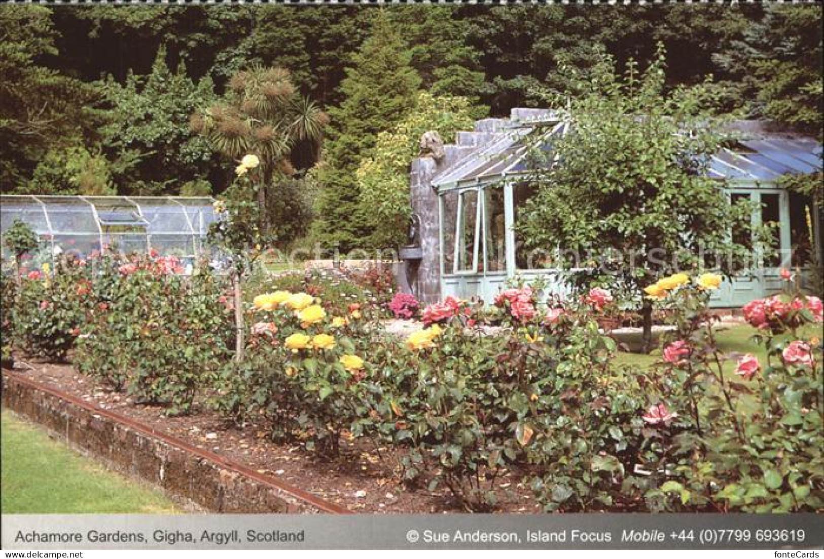 72566015 Argyll Achamore Gardens Gigha Argyll - Otros & Sin Clasificación