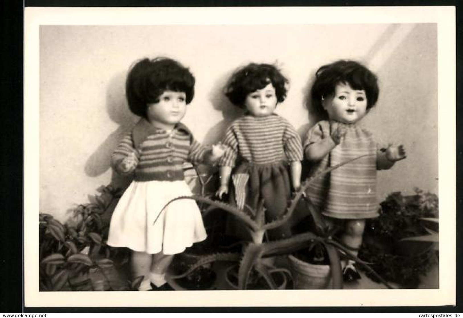 Fotografie Spielzeug, Puppen Zwischen Zimmerpflanzen Stehend  - Other & Unclassified