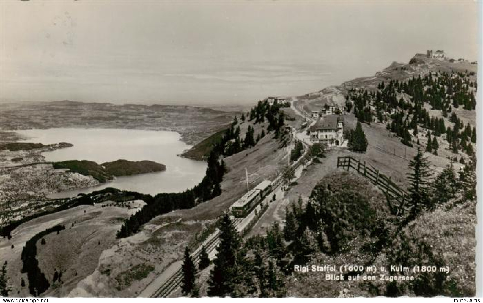 13931818 Rigi_Staffel Und Kulm Panorama Blick Auf Den Zugersee - Sonstige & Ohne Zuordnung