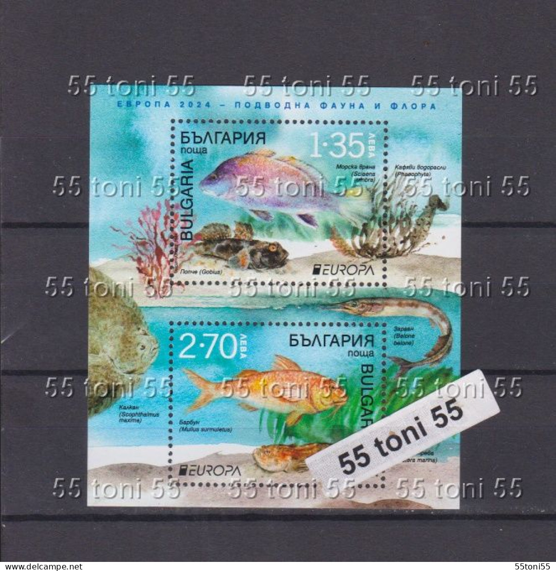 2024 Europe - Underwater Fauna And Flora  S/S – MNH  Bulgaria / Bulgarie - Unused Stamps