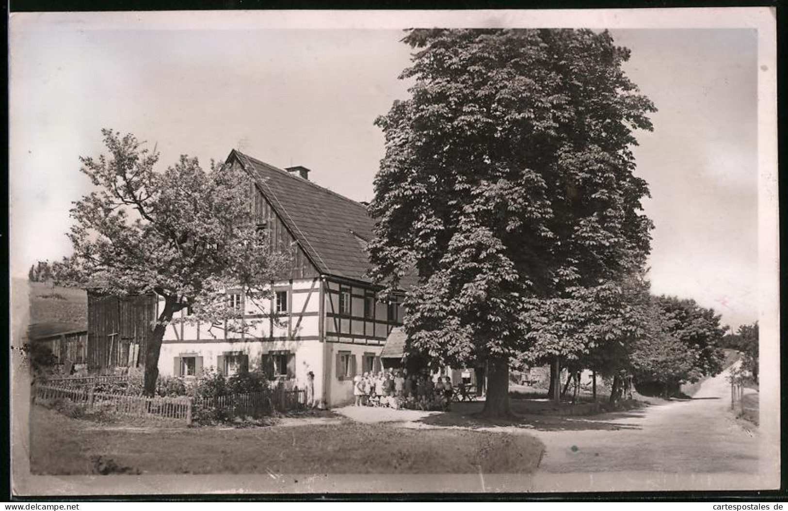 Fotografie Brück & Sohn Meissen, Ansicht Schellerhau / Erzg., Partie Am Meissner Schullandheim, Kinder Unterm Baum  - Lieux
