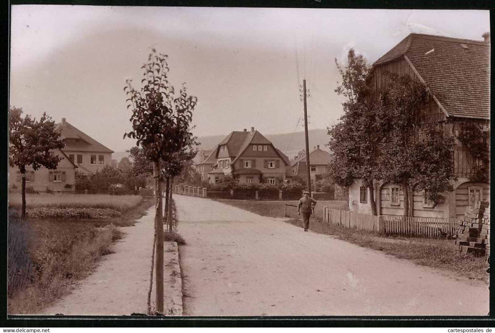 Fotografie Brück & Sohn Meissen, Ansicht Wilthen I. Sa., Strassenpartie Im Ort Mit Villenhäusern  - Lieux