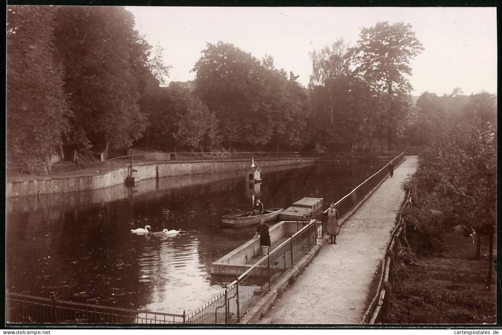 Fotografie Brück & Sohn Meissen, Ansicht Dahlen I. Sa., Blicka Uf Den Schwanenteich Bei Der Fütterung, Ruderboot  - Orte