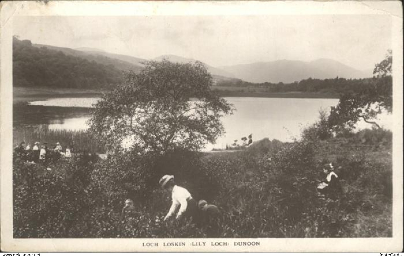 10985920 Dunoon Loch Loskin Lily Loch Dunoon - Autres & Non Classés