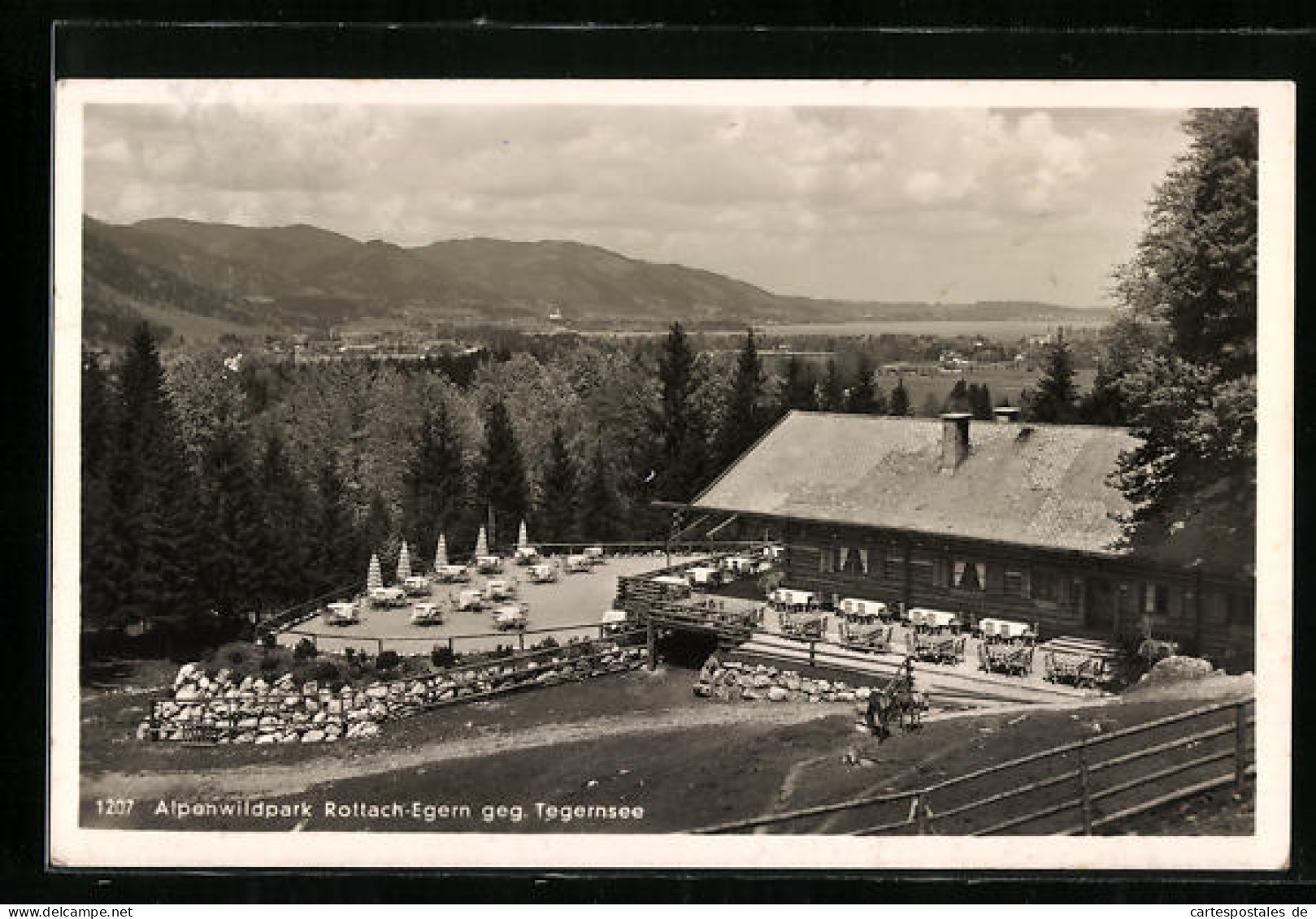 AK Rottach-Egern, Alpenwildpark Und Gasthaus Mit Blick Gegen Tegernsee  - Tegernsee