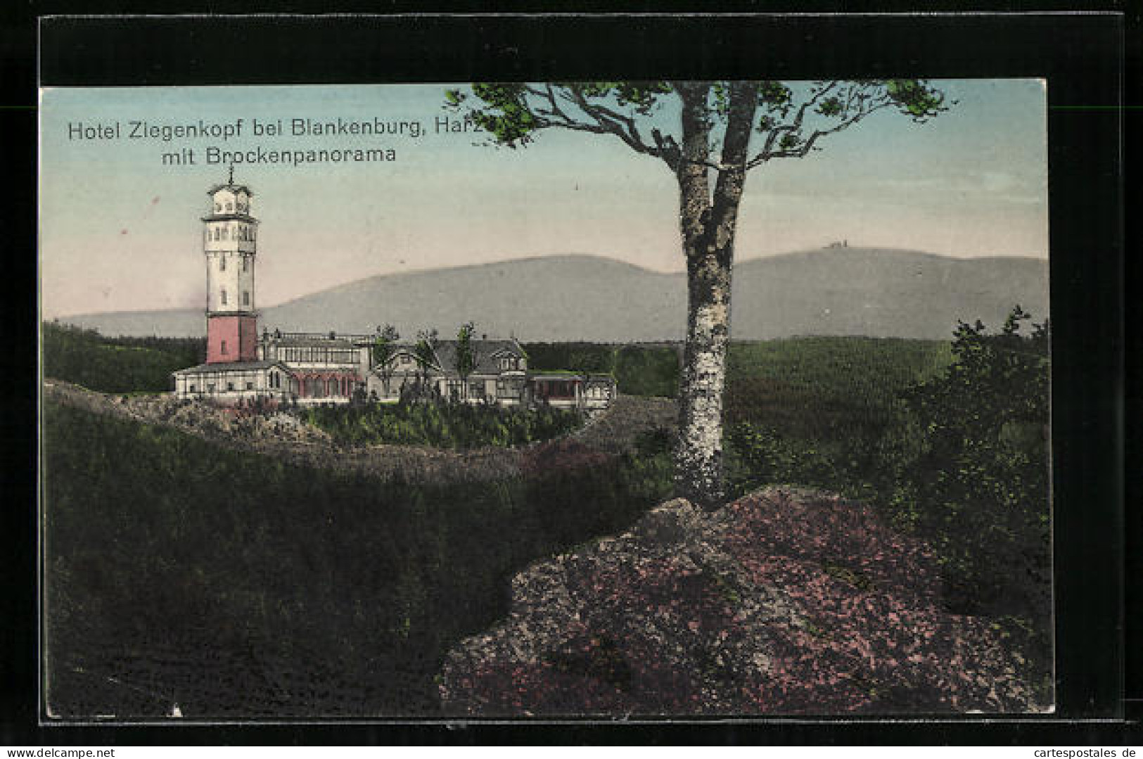 AK Blankenburg /Harz, Hotel Ziegenkopf Mit Brockenpanorama  - Blankenburg