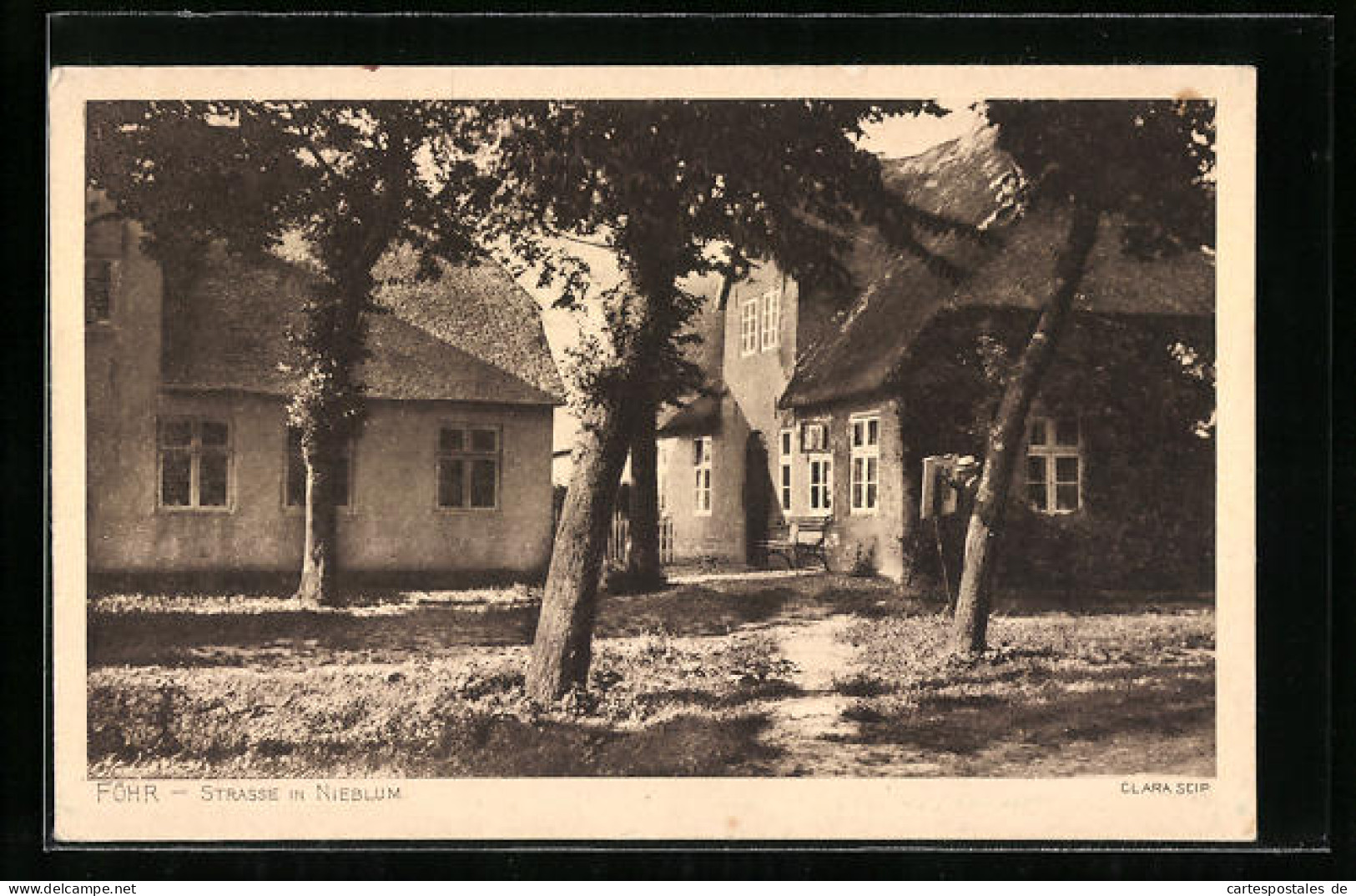 AK Nieblum /Föhr, Strasse In Nieblum Mit Wohnhäusern  - Föhr