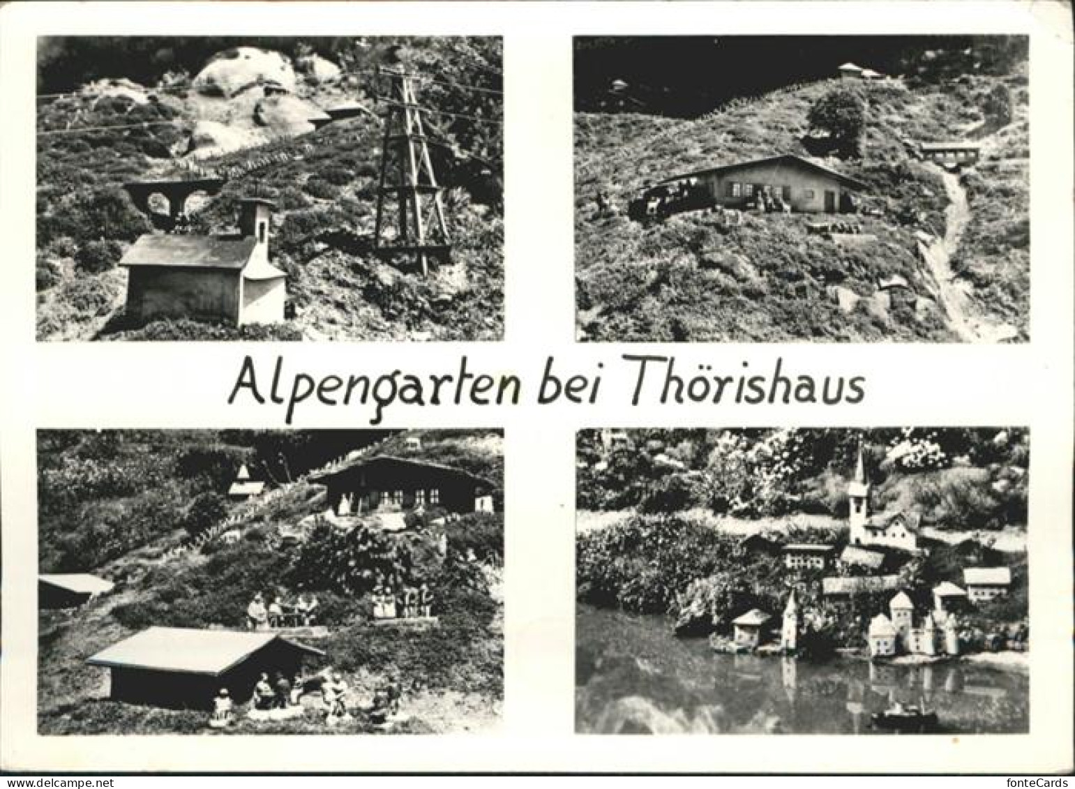 10958065 Thoerishaus Alpengarten Thoerishaus - Other & Unclassified