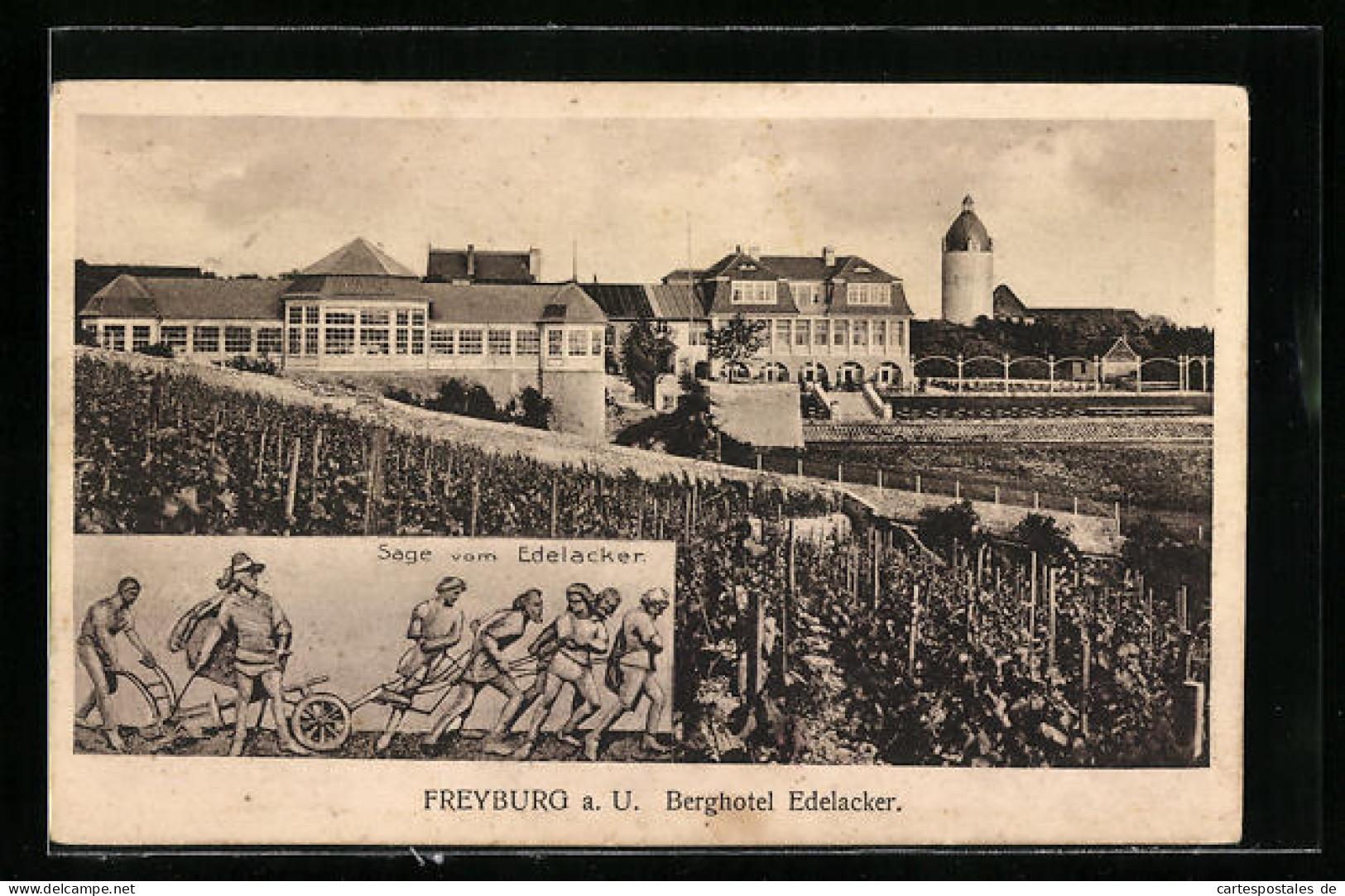 AK Freyburg A. U., Berghotel Edelacker Hinter Weinbergen  - Freyburg A. D. Unstrut