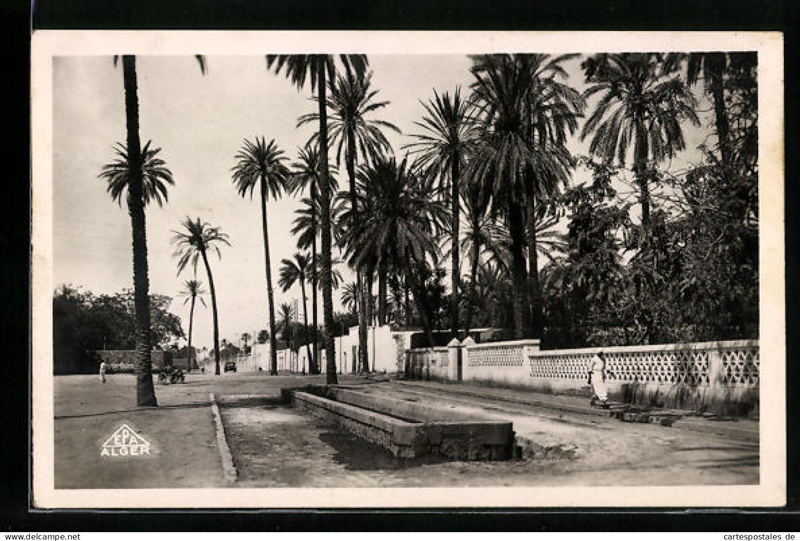 CPA Laghouat, Un Boulevard  - Laghouat