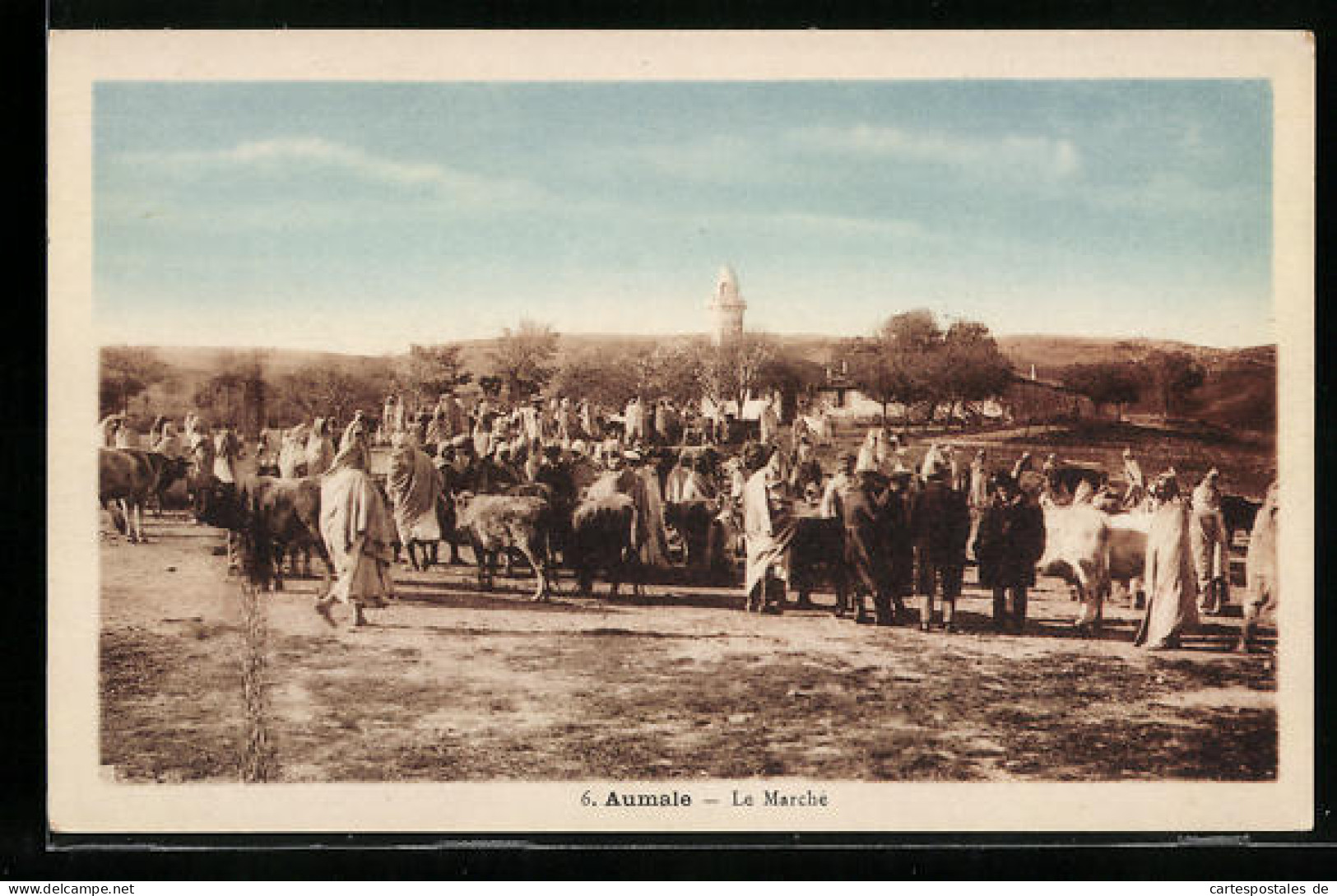 CPA Aumale, Le Marché  - Alger