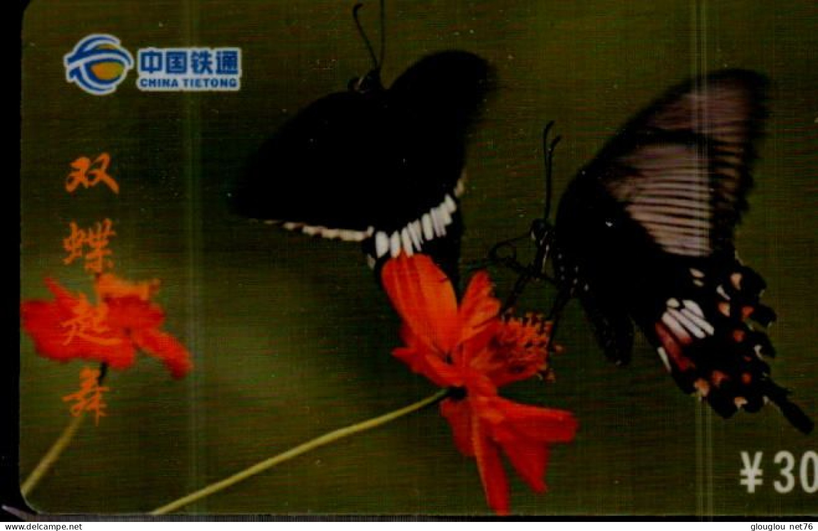 TELECARTE ETRANGERE....PAPILLON... - Schmetterlinge