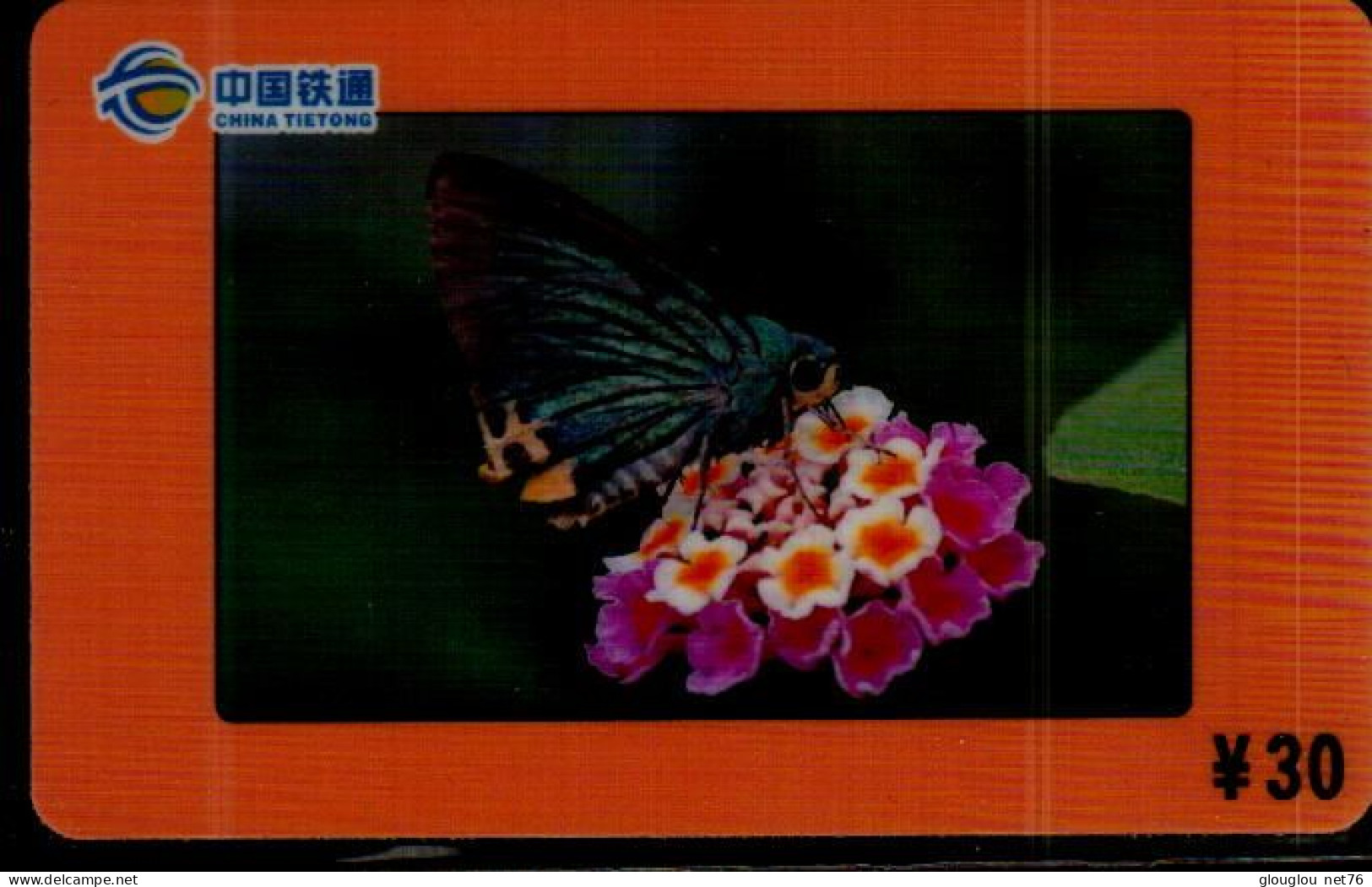 TELECARTE ETRANGERE....PAPILLON... - Butterflies